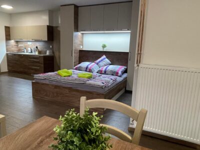 Wellness Apartmány Vlčková
