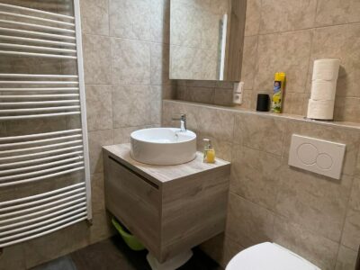Wellness Apartmány Vlčková