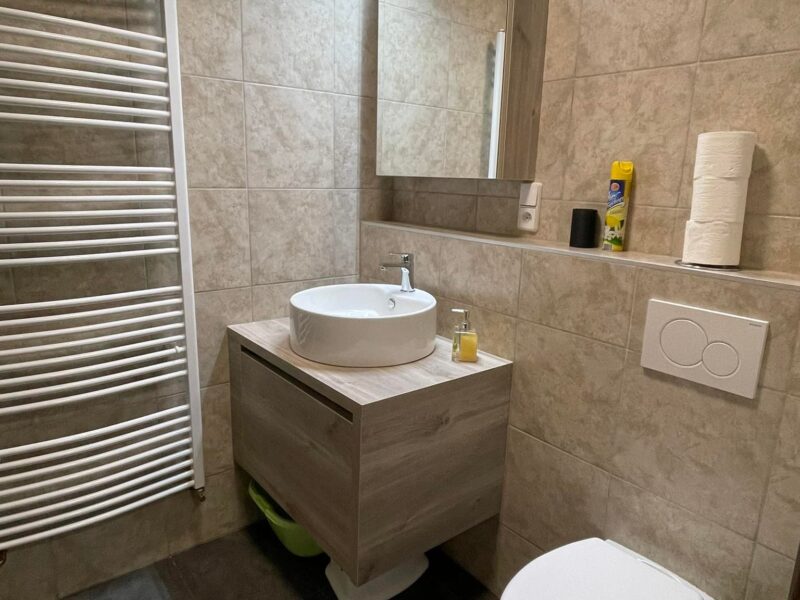 Wellness Apartmány Vlčková