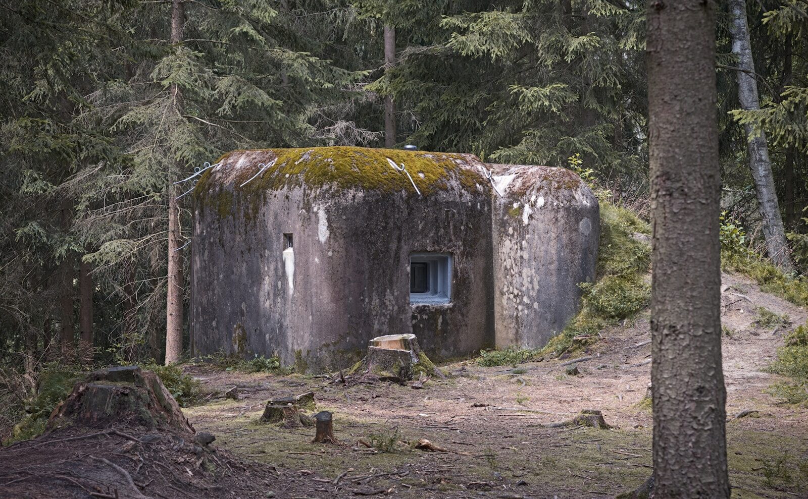 Pevnost Hanička a glamping v Orlických horách