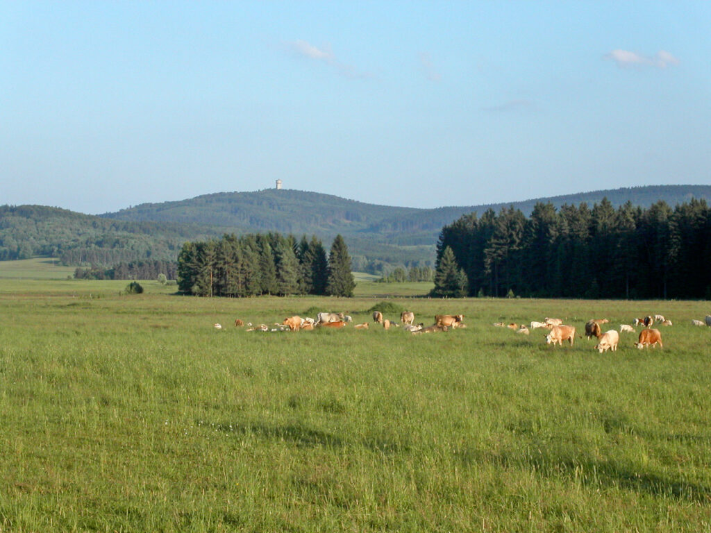 Hluboké lesy a kopce v Českém lese při západu slunce