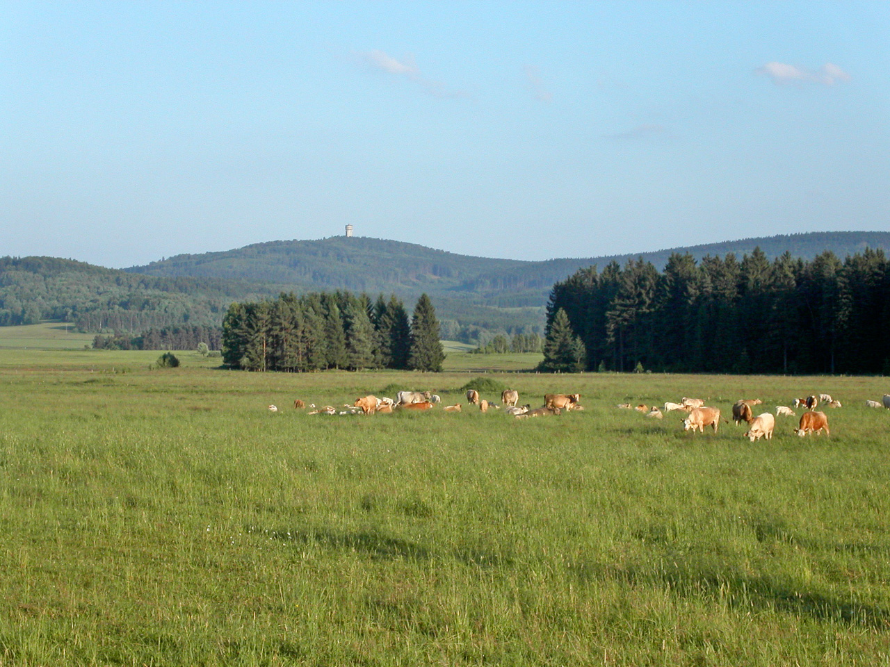 Hluboké lesy a kopce v Českém lese při západu slunce