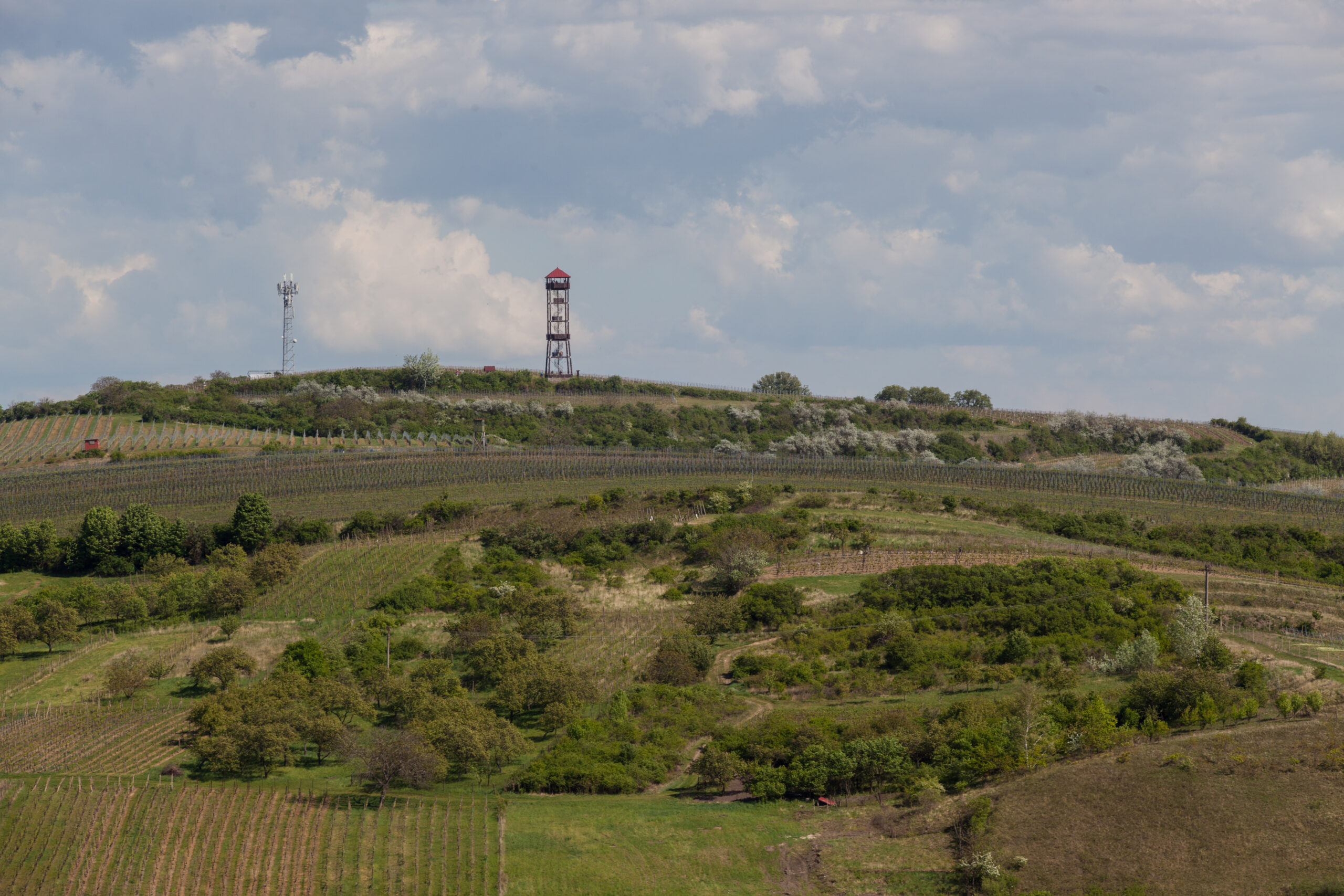 Jarní Morava