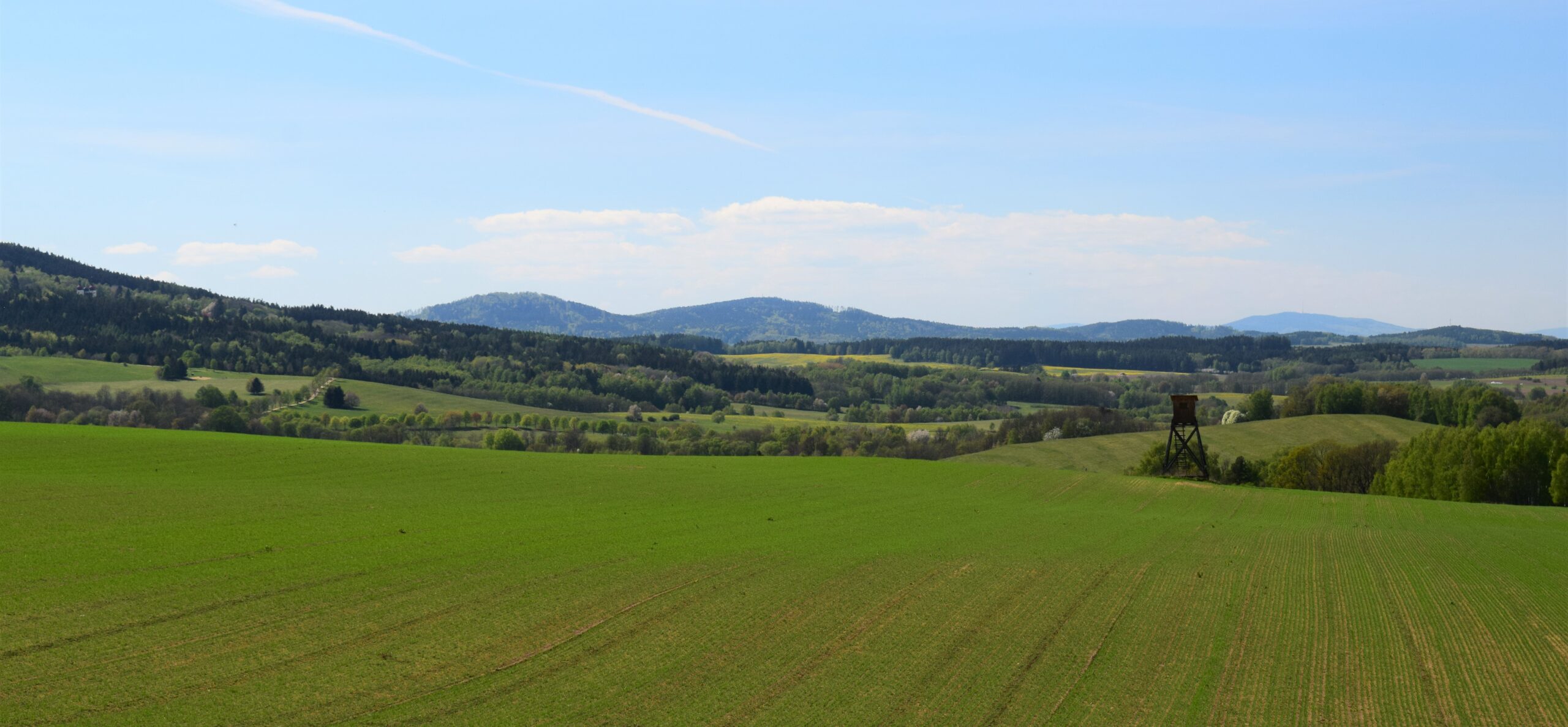 Mlžné lesy v Novohradských horách při svítání