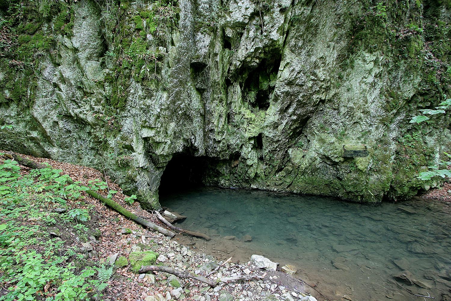 Příroda Moravského krasu