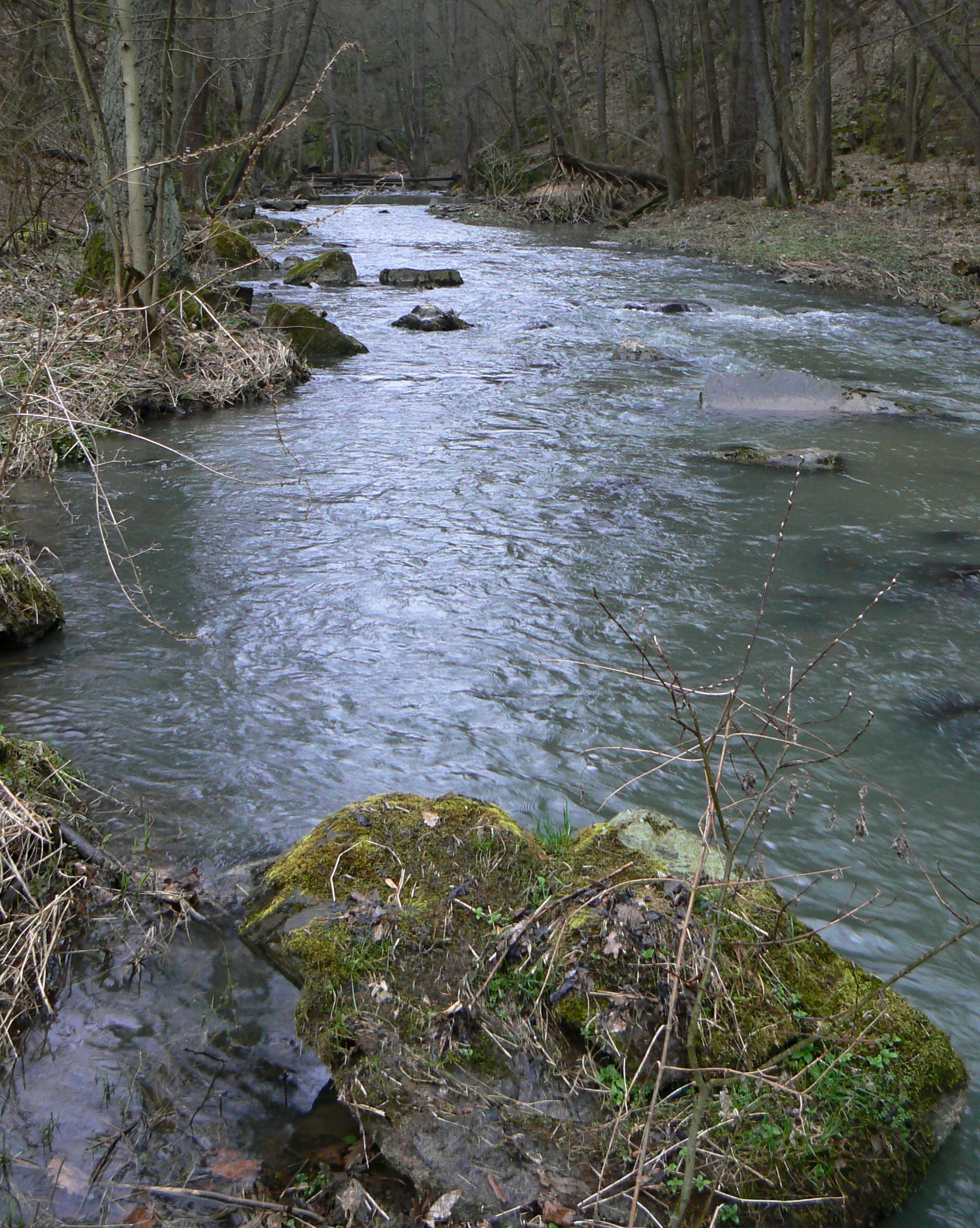 Skryjská jezírka
