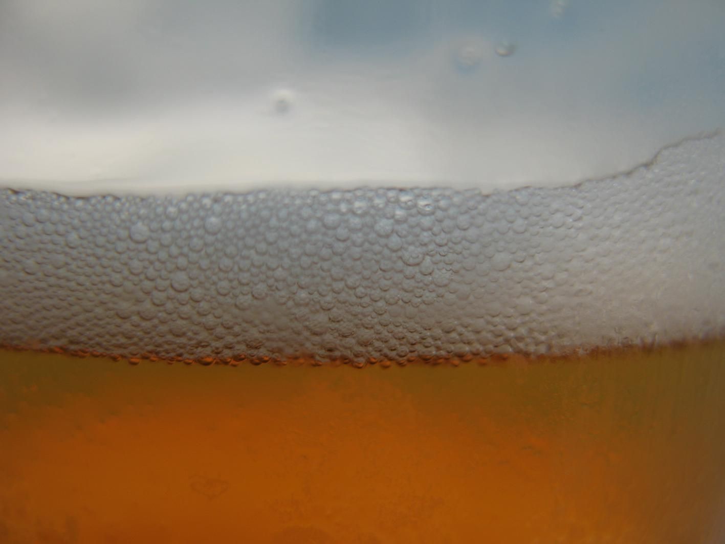 Pivo Slavkov