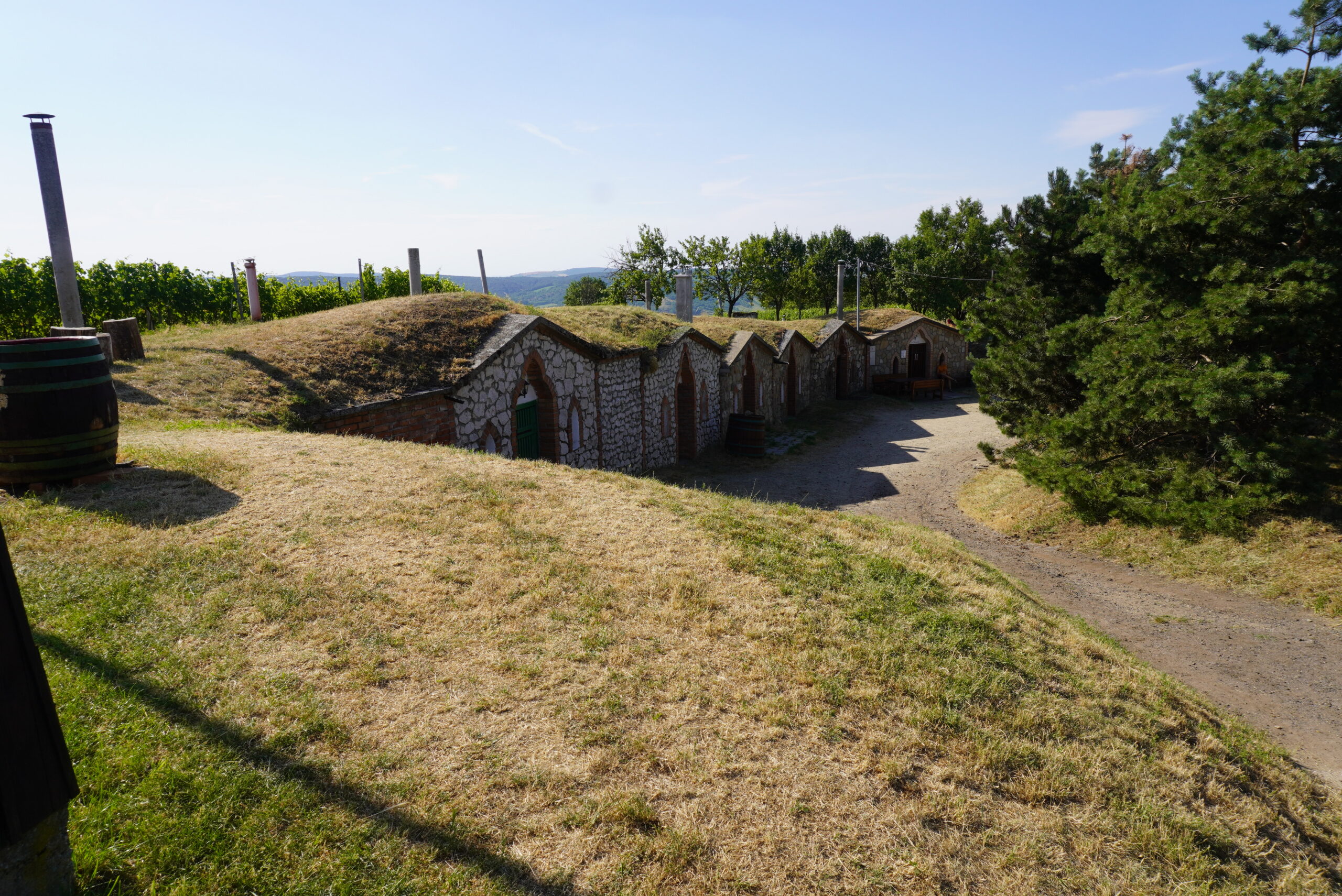 Vrbice vinné sklepy
