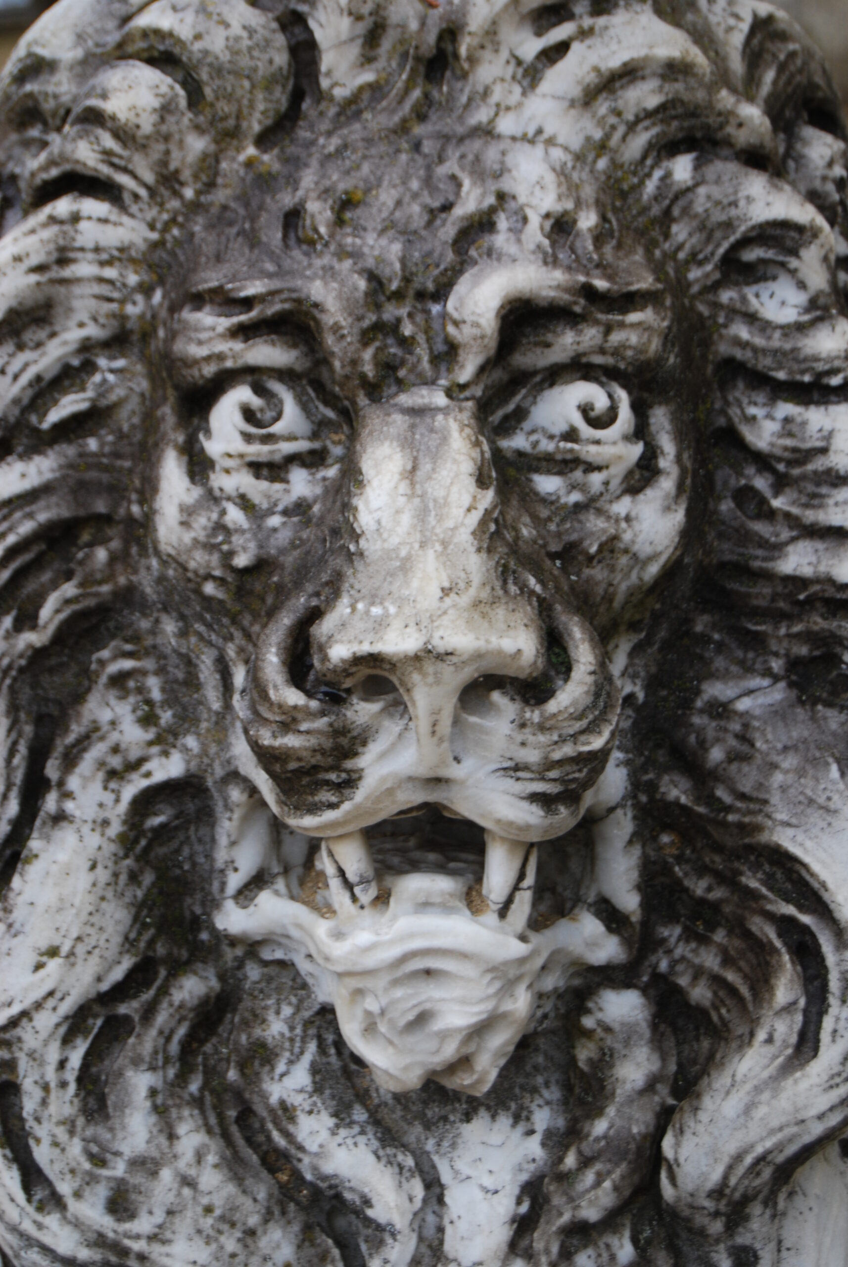 Zámek Vranov detail