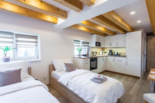 Apart Hotel Svitavy
