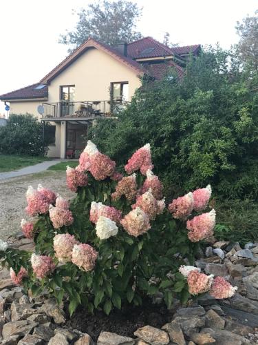 Apartman Harmonia Poděbrady 60m2 s klimatizací