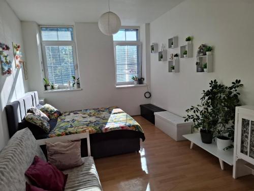 Apartmán u parku