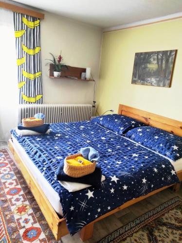 Apartment Telč Hradecka