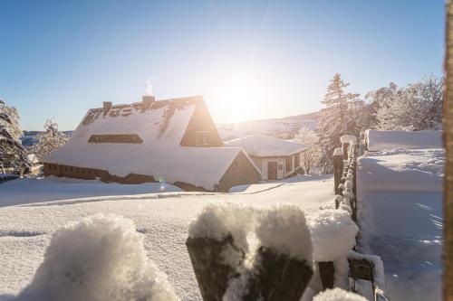 Ferienhaus Freitag - Ferienwohnungen mit Sauna & Frühstück