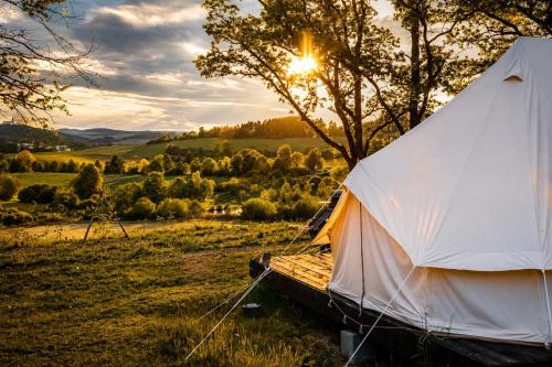 Glamping Hive