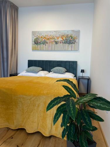 H52 Apartments