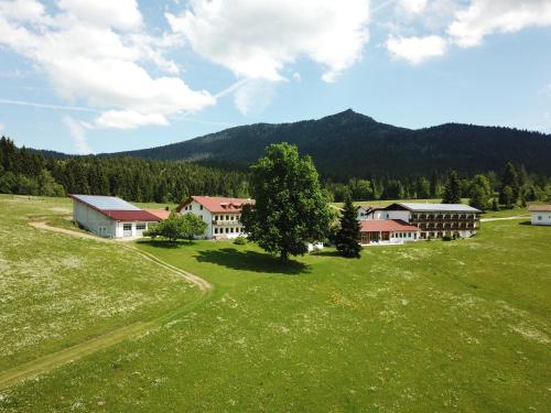 Osserhotel - B&B am Osser