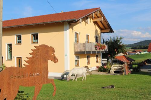Ponyhof Adam Urlaub auf dem Bauernhof
